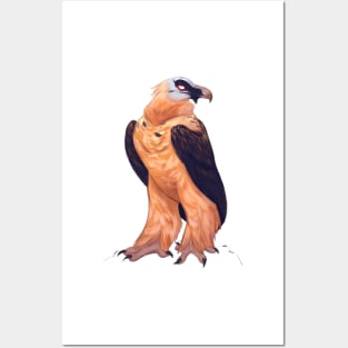 Bearded vulture Posters and Art